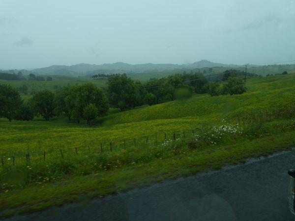 Piha-Ruakaka