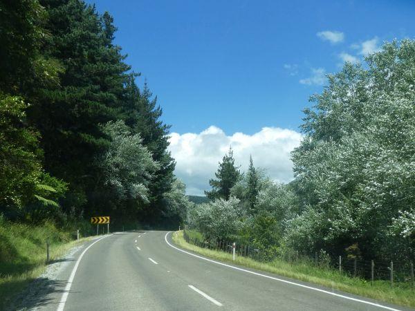 Te Araroa-Anaura Bay