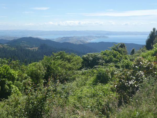 Gisborne – Mahia Beach