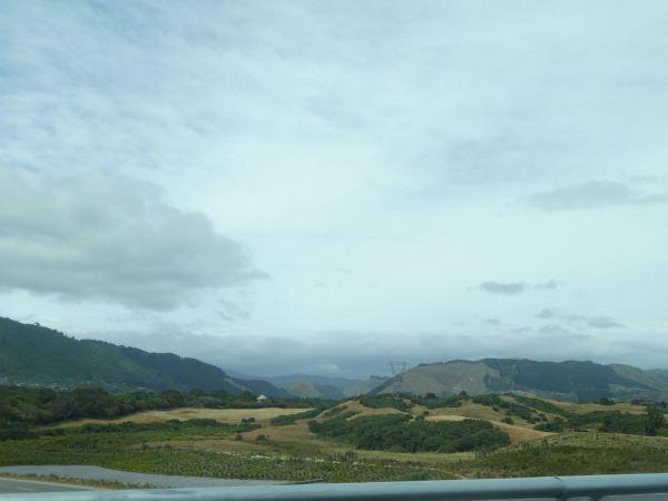 Otaki Beach-Picton