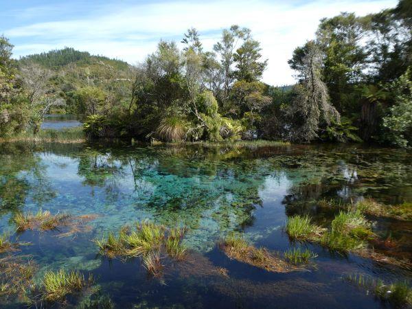 Pohara im Abel Tasman