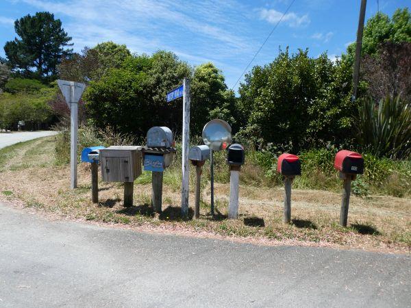 Pohara im Abel Tasman