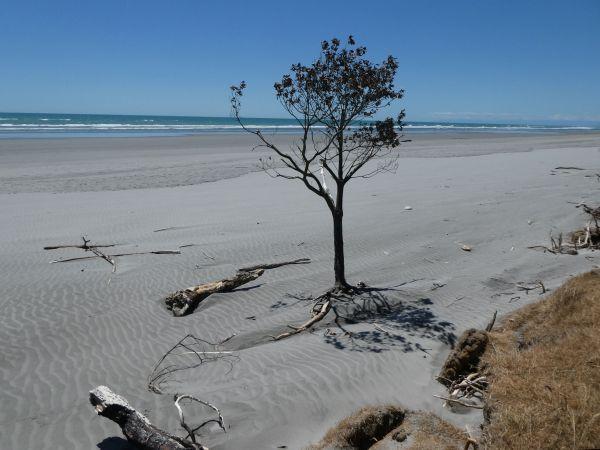 Murchison-Carters Beach