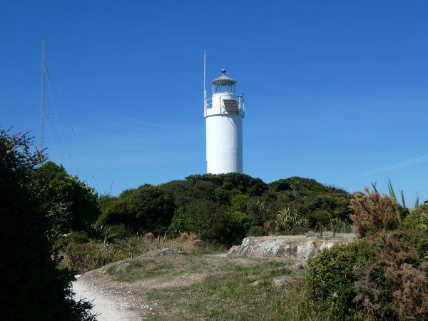 CartersBeach-Greymouth