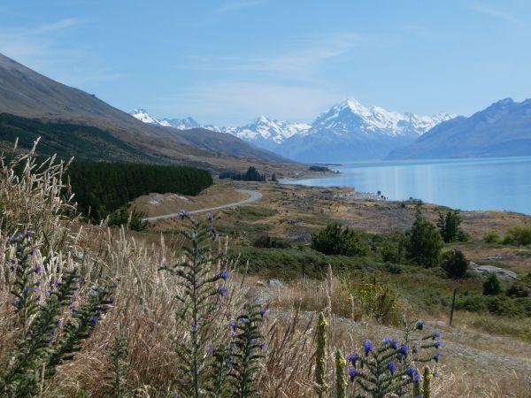 Lake Tekapo-LakeRuataniwha