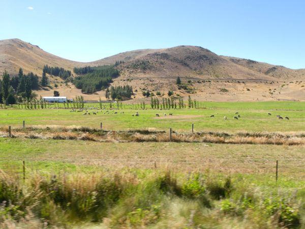 Lake Ruataniwha-Omarama