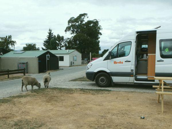 Wanaka