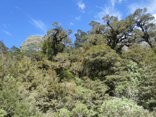 Doubtful Sound