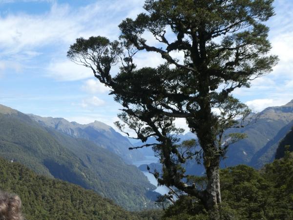 Doubtful Sound