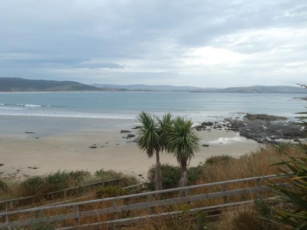 Curio Bay - Balclutha