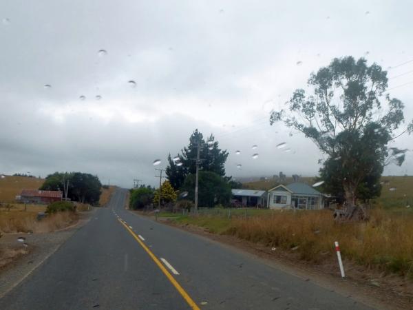 Curio Bay - Balclutha