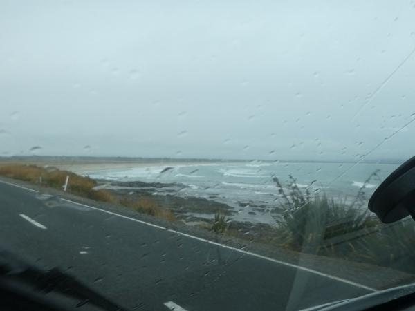 Curio Bay - Balclutha