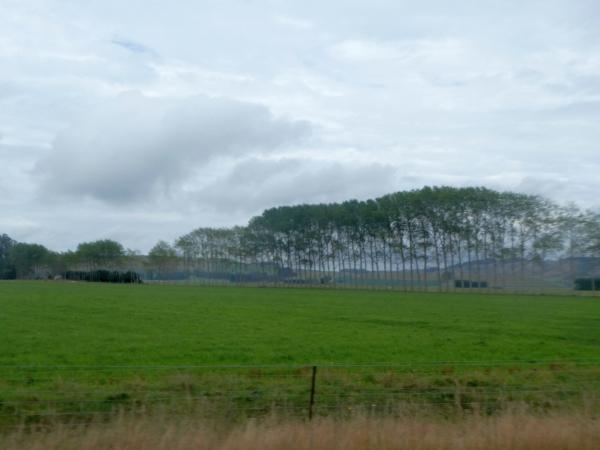 Waitaki Bridge – Timaru