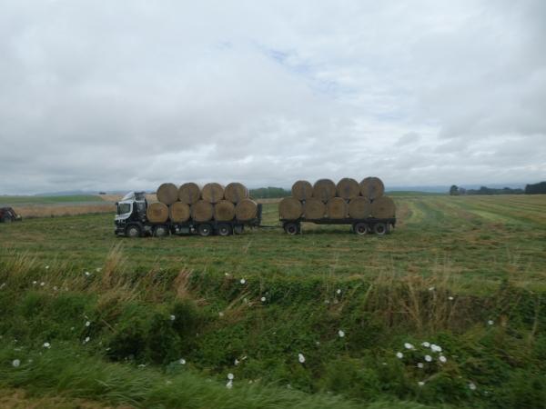 Waitaki Bridge – Timaru