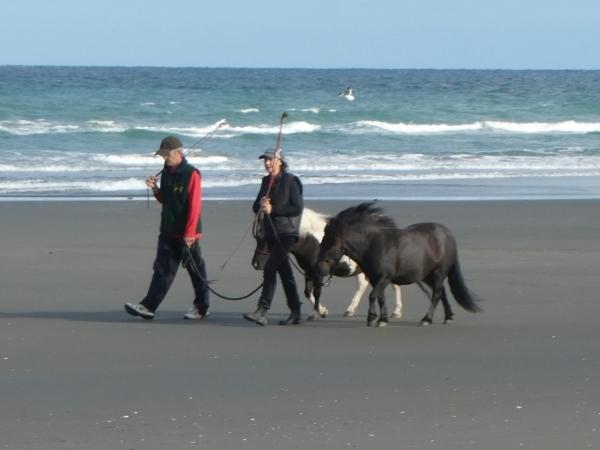 Akaroa-Woodend Beach