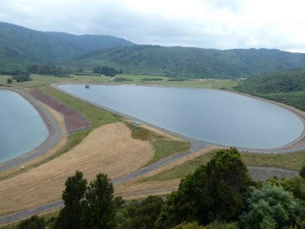 Lower Hutt-Lake Ferry