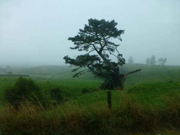 Waihi Beach-Tairua