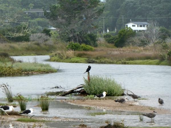 Waihi Beach-Tairua