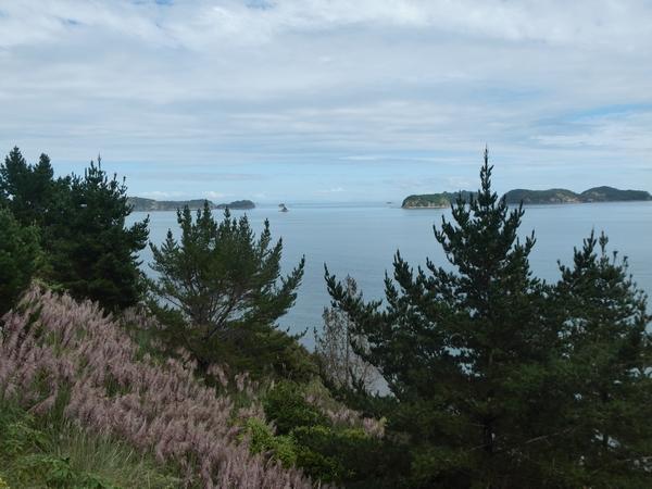 Coromandel-Miranda Hot Springs