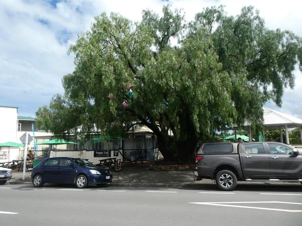 Coromandel-Miranda Hot Springs